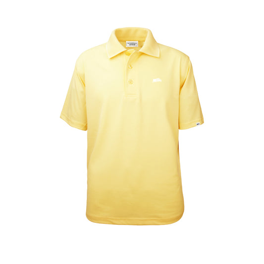 Solid Moisture Wicking Polo